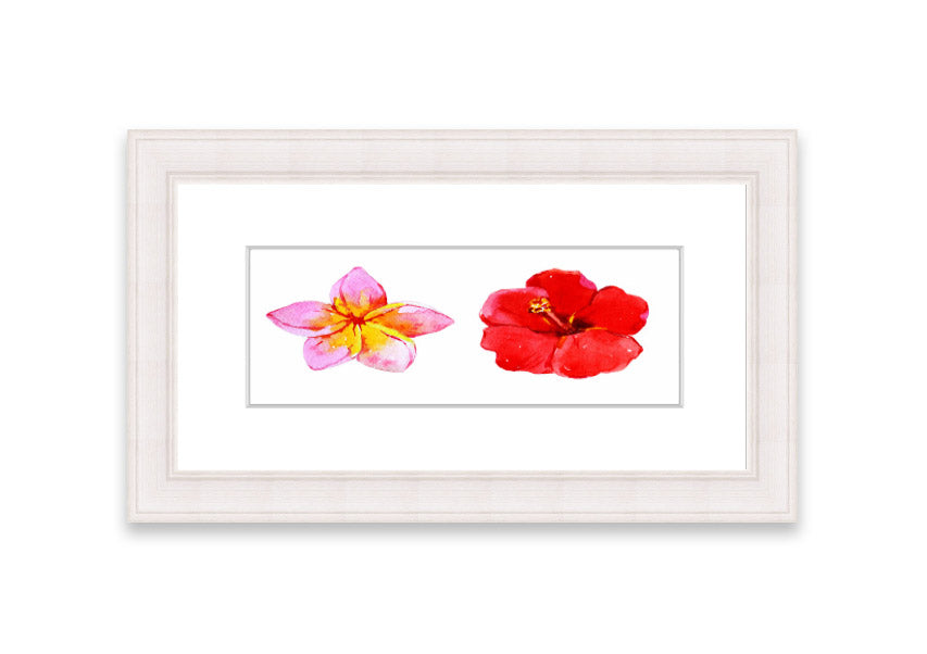 Amaryllis Beauty framed print featuring vibrant flowers, elegantly framed in multiple color options, ready to hang.