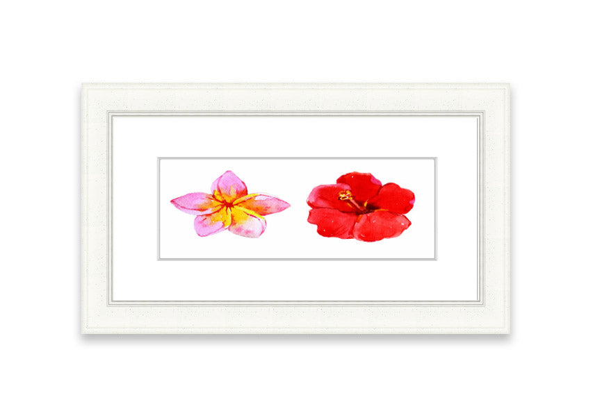 Amaryllis Beauty framed print featuring vibrant flowers, elegantly framed in multiple color options, ready to hang.