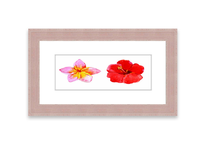 Amaryllis Beauty framed print featuring vibrant flowers, elegantly framed in multiple color options, ready to hang.