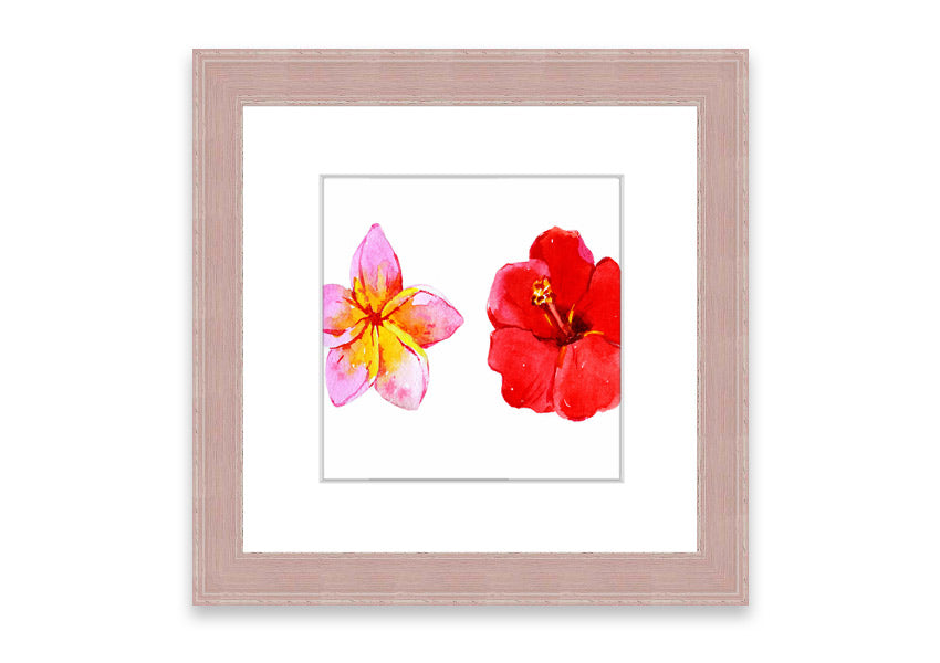 Amaryllis Beauty framed print featuring vibrant flowers, elegantly framed in multiple color options, ready to hang.