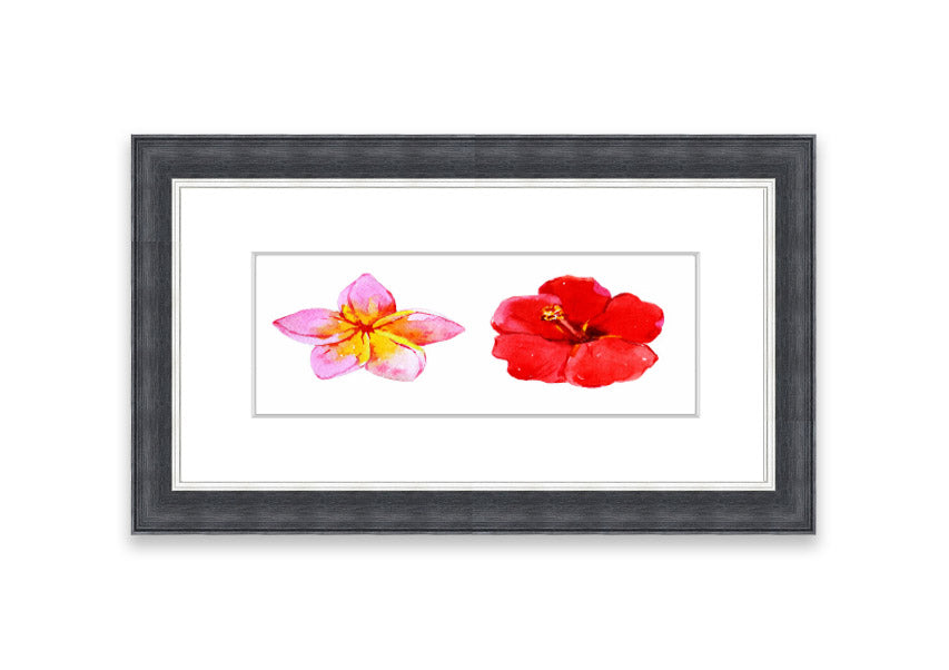 Amaryllis Beauty framed print featuring vibrant flowers, elegantly framed in multiple color options, ready to hang.