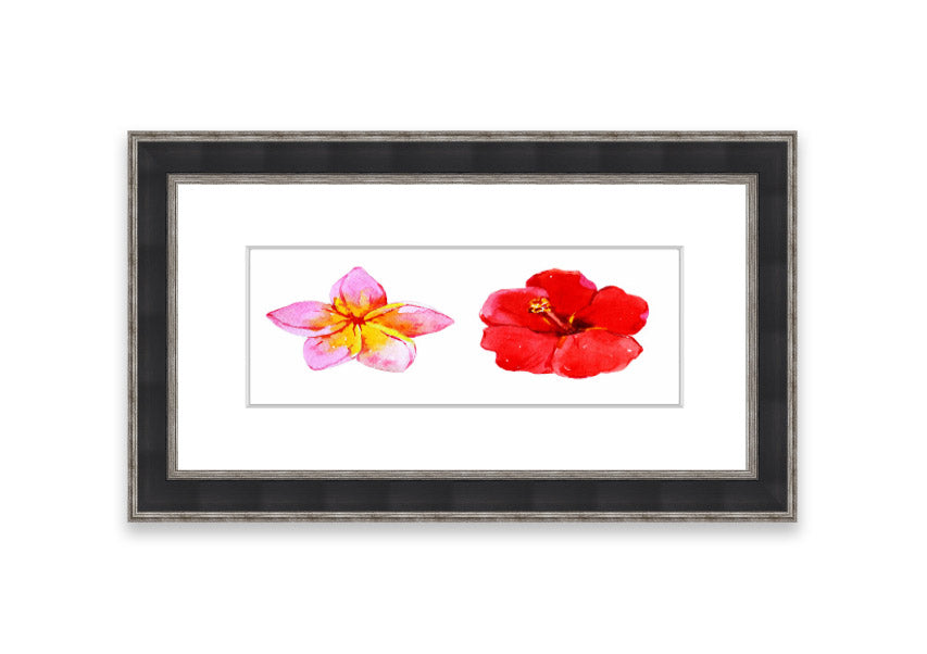 Amaryllis Beauty framed print featuring vibrant flowers, elegantly framed in multiple color options, ready to hang.