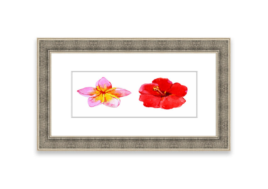 Amaryllis Beauty framed print featuring vibrant flowers, elegantly framed in multiple color options, ready to hang.