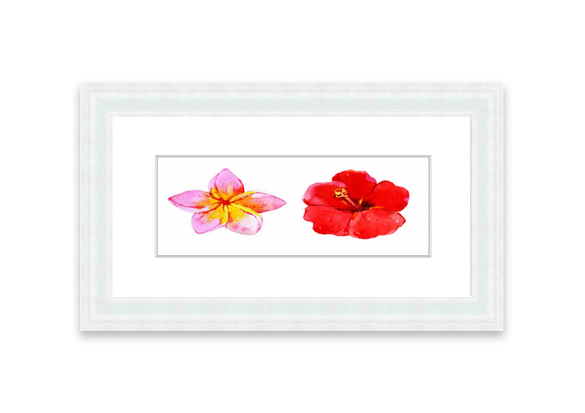 Amaryllis Beauty framed print featuring vibrant flowers, elegantly framed in multiple color options, ready to hang.