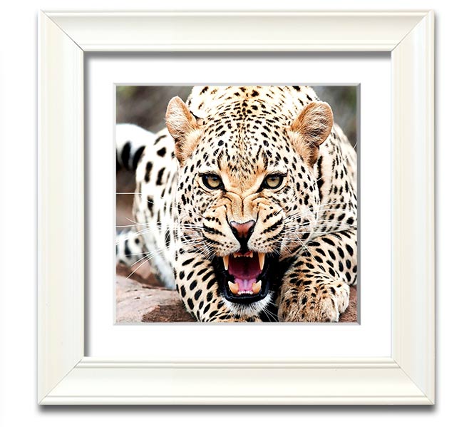 Amazing Cheetah Square Framed Print showcasing a detailed cheetah artwork in a stylish frame.