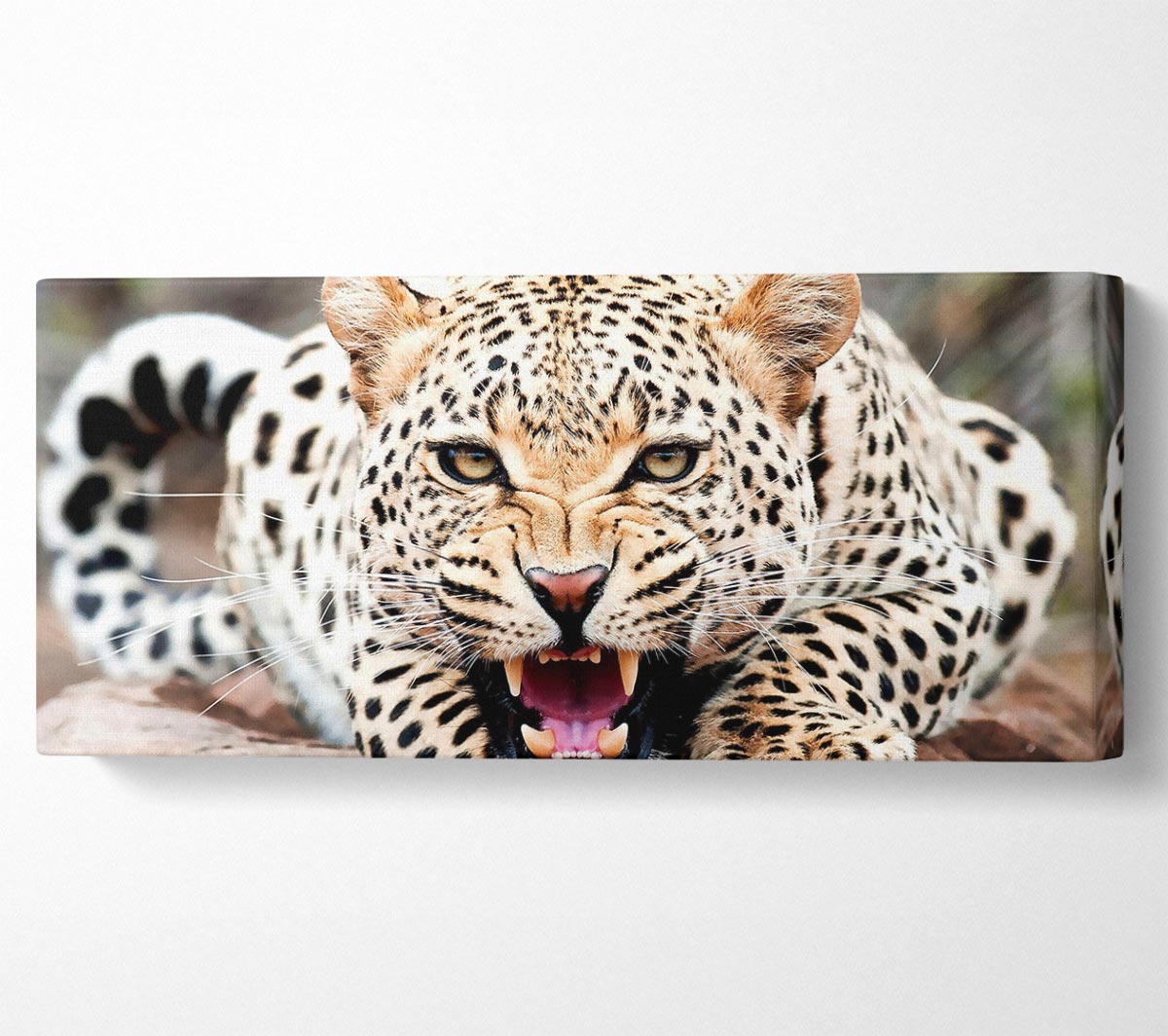 A vibrant canvas print of a cheetah, mounted on a sturdy box frame, ready to hang.