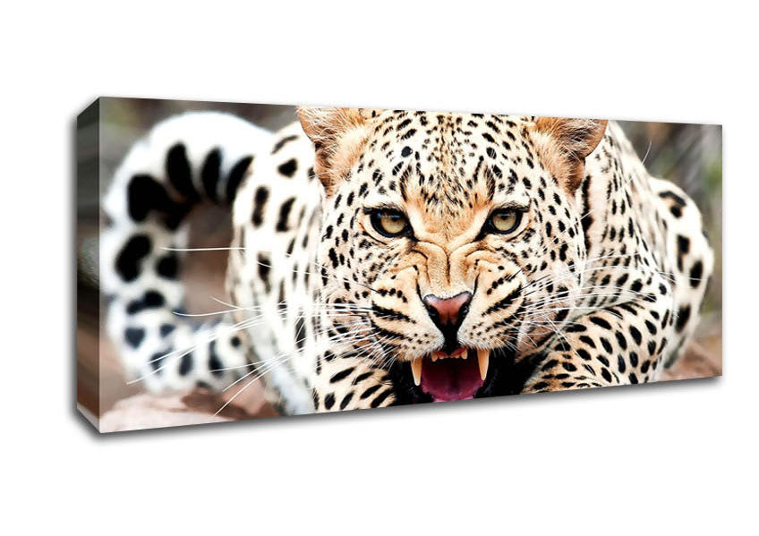 A vibrant canvas print of a cheetah, mounted on a sturdy box frame, ready to hang.