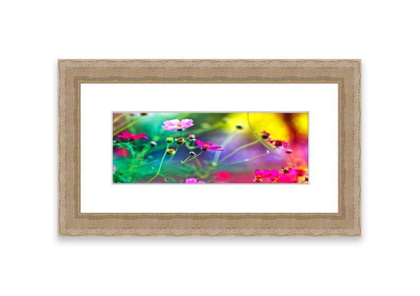 A beautifully framed print of Amazing Flowers from Cornwall, showcasing vibrant floral artwork in a stylish frame.