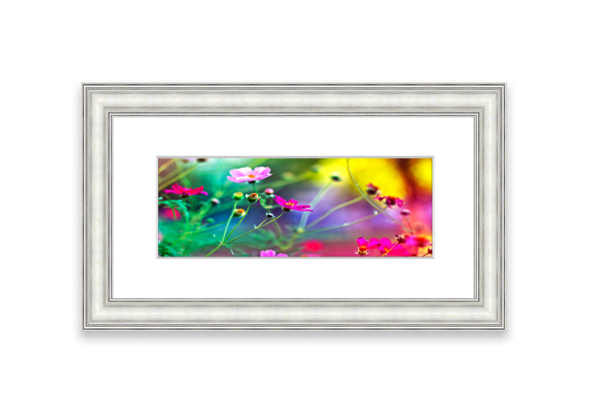 A beautifully framed print of Amazing Flowers from Cornwall, showcasing vibrant floral artwork in a stylish frame.