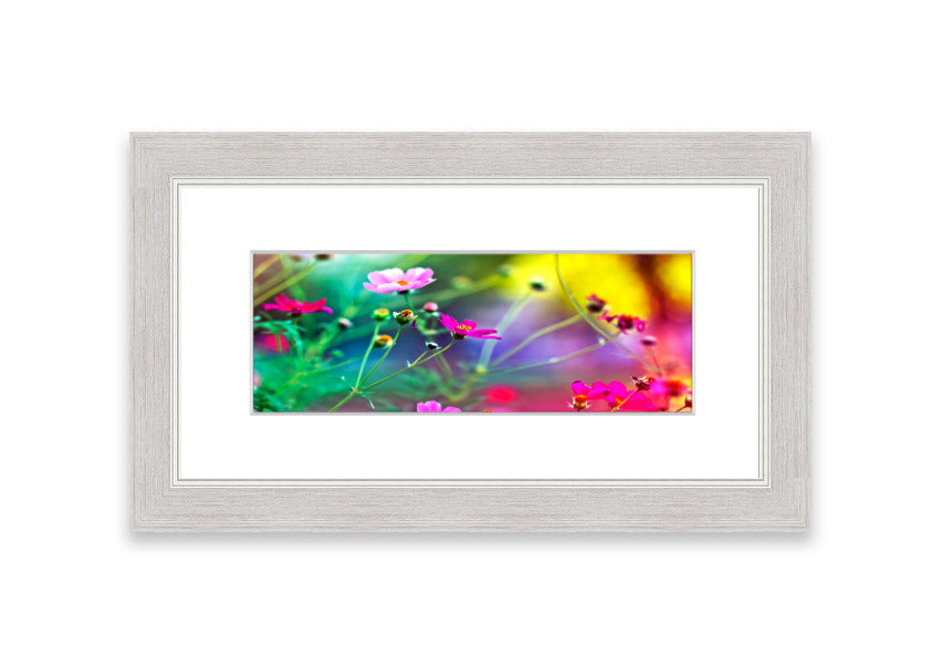 A beautifully framed print of Amazing Flowers from Cornwall, showcasing vibrant floral artwork in a stylish frame.