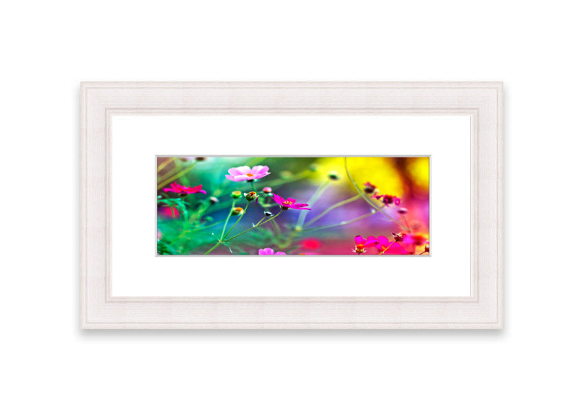 A beautifully framed print of Amazing Flowers from Cornwall, showcasing vibrant floral artwork in a stylish frame.