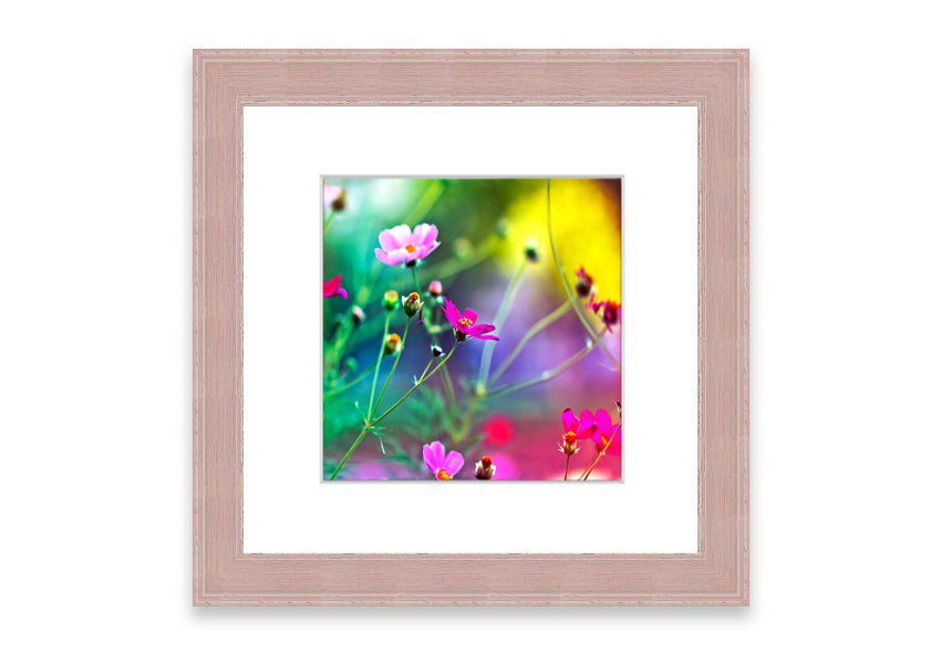 A beautifully framed print of Amazing Flowers from Cornwall, showcasing vibrant floral artwork in a stylish frame.