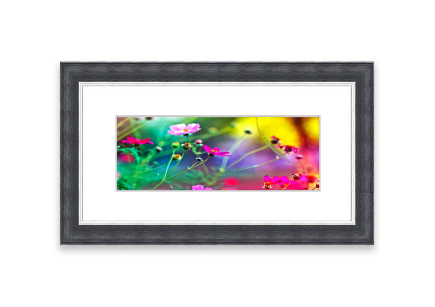 A beautifully framed print of Amazing Flowers from Cornwall, showcasing vibrant floral artwork in a stylish frame.