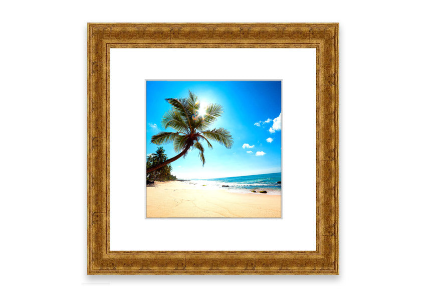 Amazing Nature 2 framed print showcasing a beautiful Cornwall landscape, available in various frame colors.