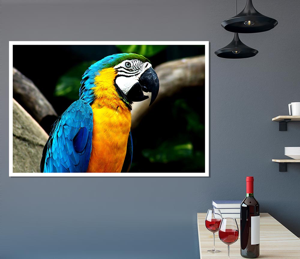 A vibrant Amazing Parrot poster printed on high-quality canvas, showcasing colorful parrot artwork.