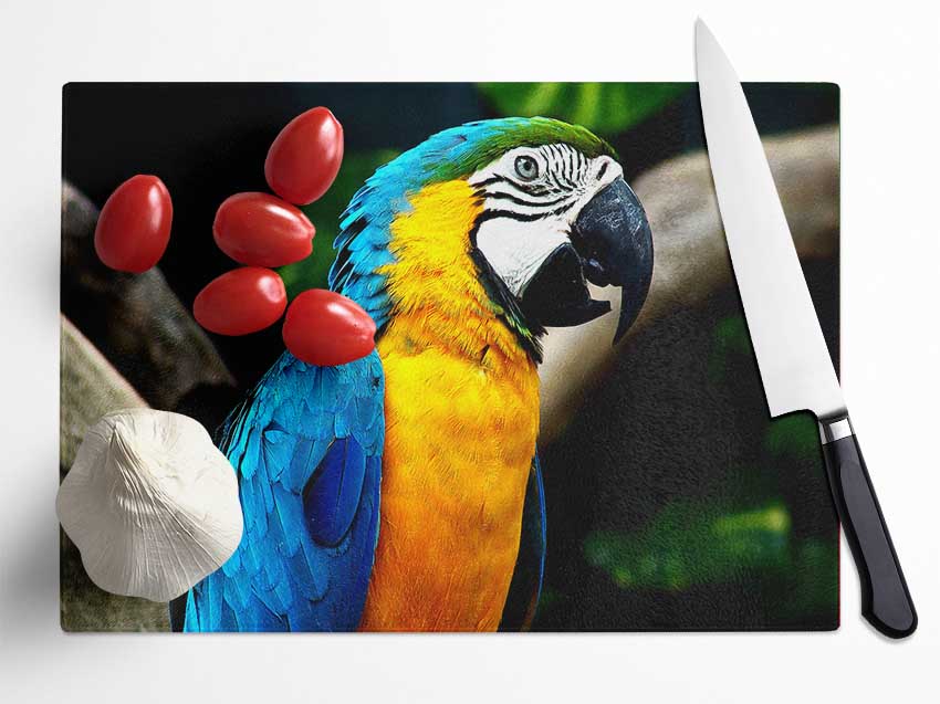 A stylish Amazing Parrot chopping board made from durable tempered glass with a chinchilla ripple effect and anti-slip feet.