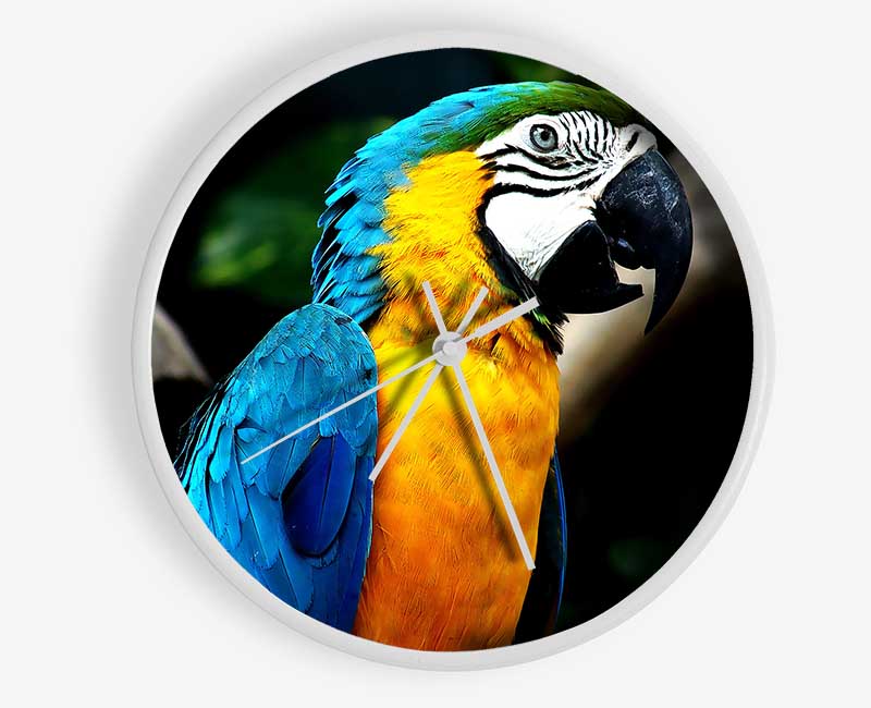 Amazing Parrot clock made from natural bamboo with a round face, available in black, white, and natural frame colors.