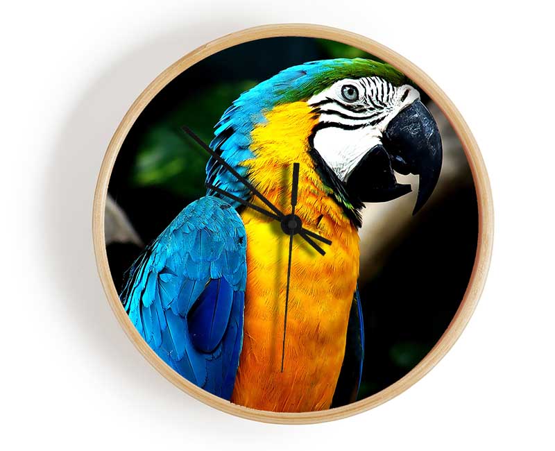 Amazing Parrot clock made from natural bamboo with a round face, available in black, white, and natural frame colors.