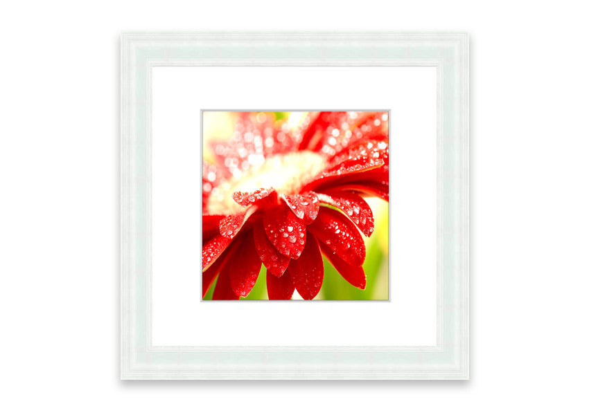 A vibrant red flower framed print, beautifully handmade in the UK, showcasing multiple frame color options.