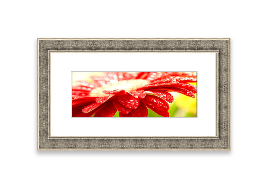 A vibrant red flower framed print, beautifully handmade in the UK, showcasing multiple frame color options.