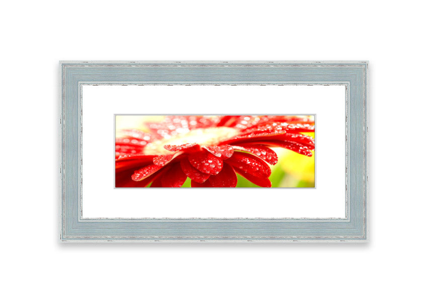 A vibrant red flower framed print, beautifully handmade in the UK, showcasing multiple frame color options.