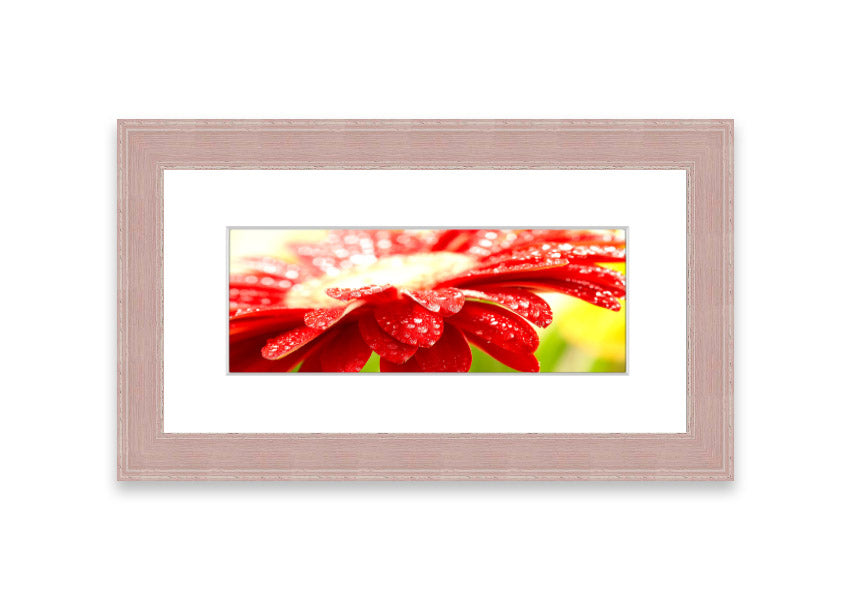 A vibrant red flower framed print, beautifully handmade in the UK, showcasing multiple frame color options.