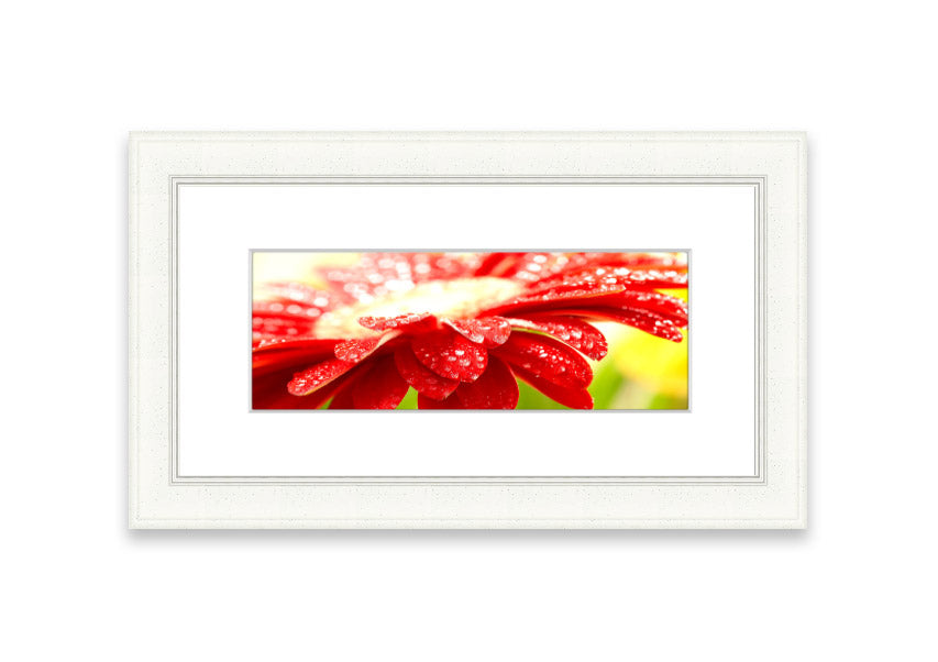 A vibrant red flower framed print, beautifully handmade in the UK, showcasing multiple frame color options.