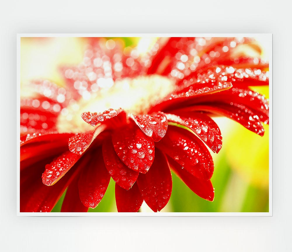 A vibrant red flower poster printed on high-quality canvas, showcasing intricate details and rich colors, perfect for home decor.