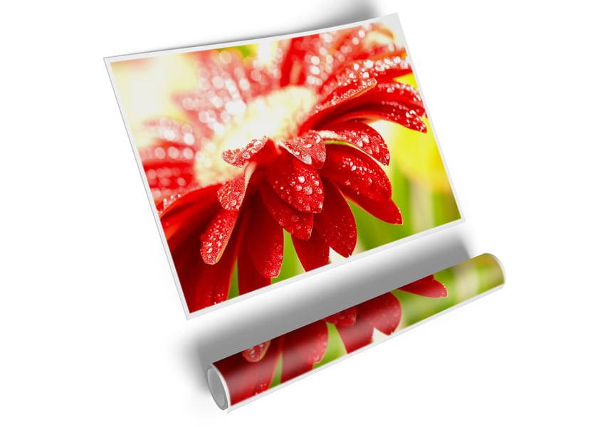 A vibrant red flower poster printed on high-quality canvas, showcasing intricate details and rich colors, perfect for home decor.