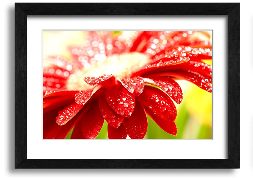 A vibrant framed print of an amazing red flower, showcasing intricate details and colors, ready to hang on a wall.