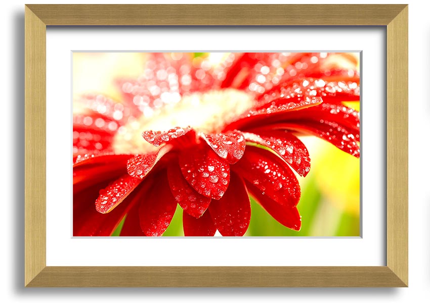 A vibrant framed print of an amazing red flower, showcasing intricate details and colors, ready to hang on a wall.