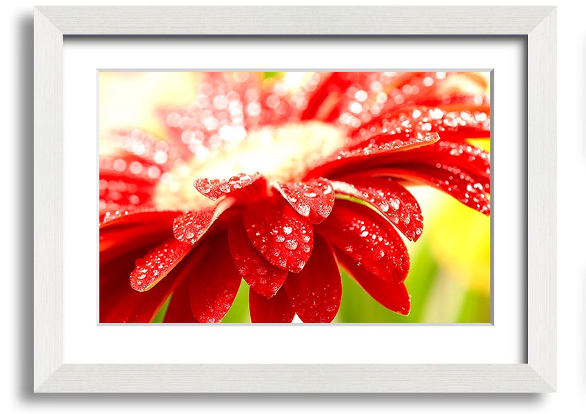 A vibrant framed print of an amazing red flower, showcasing intricate details and colors, ready to hang on a wall.