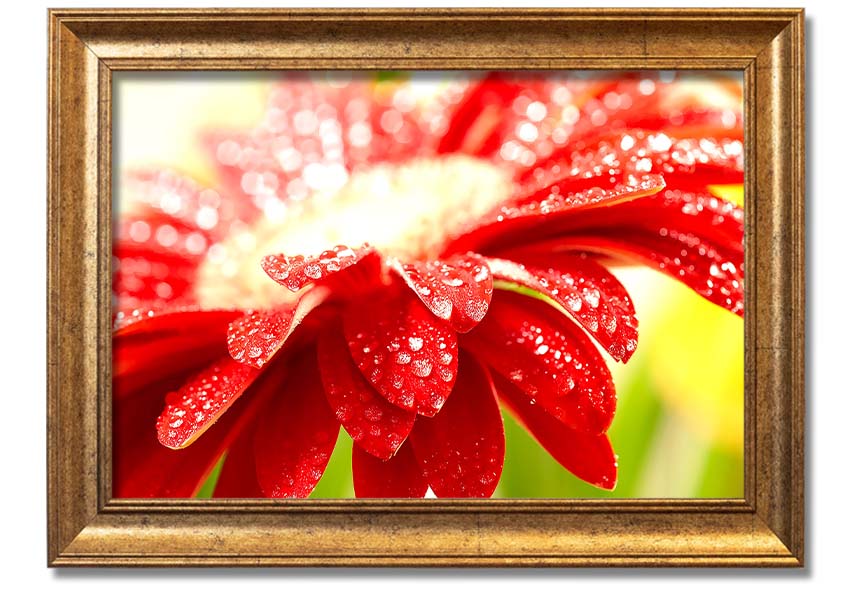 A vibrant framed print of an amazing red flower, showcasing intricate details and colors, ready to hang on a wall.