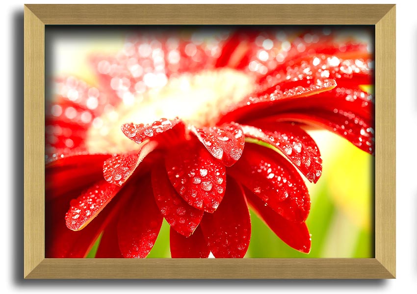 A vibrant framed print of an amazing red flower, showcasing intricate details and colors, ready to hang on a wall.