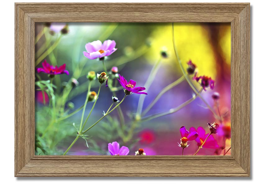 Framed print of Amazing Wild Flowers showcasing vibrant colors and delicate details, available in various frame colors.