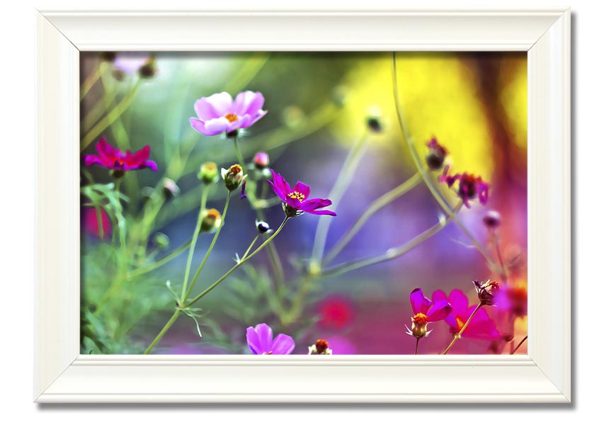 Framed print of Amazing Wild Flowers showcasing vibrant colors and delicate details, available in various frame colors.