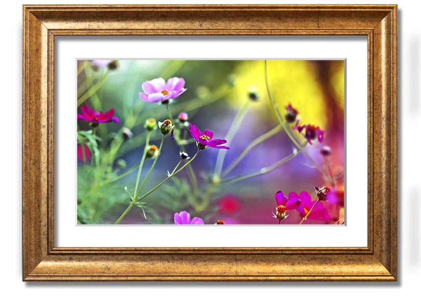 Framed print of Amazing Wild Flowers showcasing vibrant colors and delicate details, available in various frame colors.