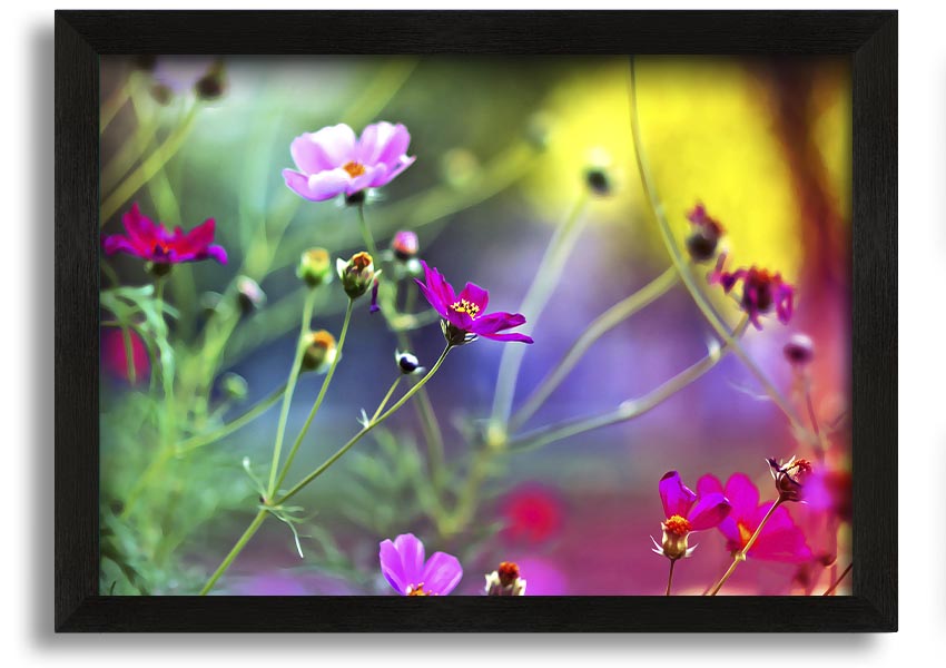 Framed print of Amazing Wild Flowers showcasing vibrant colors and delicate details, available in various frame colors.