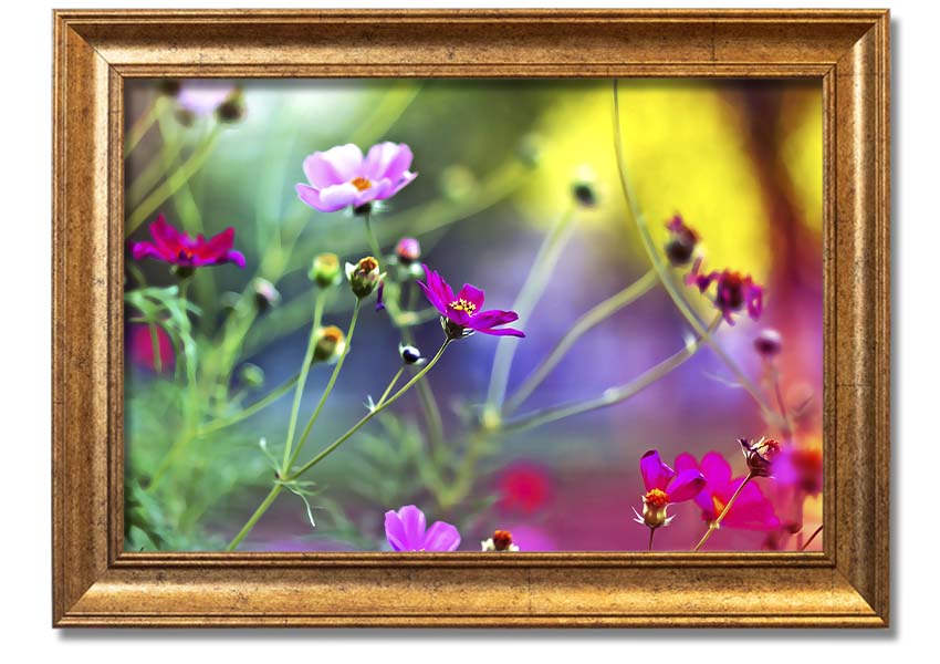 Framed print of Amazing Wild Flowers showcasing vibrant colors and delicate details, available in various frame colors.