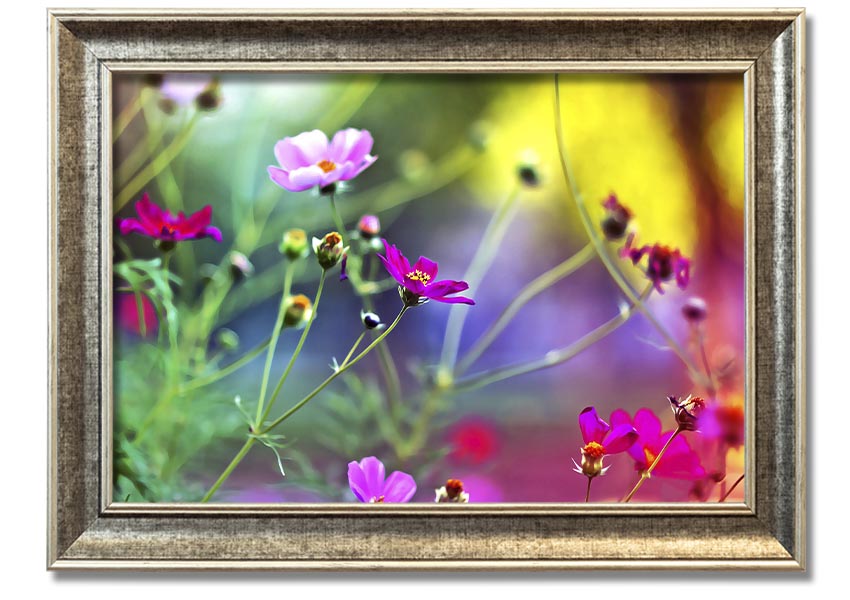 Framed print of Amazing Wild Flowers showcasing vibrant colors and delicate details, available in various frame colors.