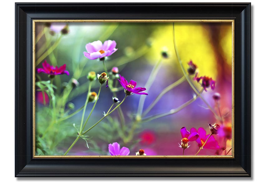 Framed print of Amazing Wild Flowers showcasing vibrant colors and delicate details, available in various frame colors.