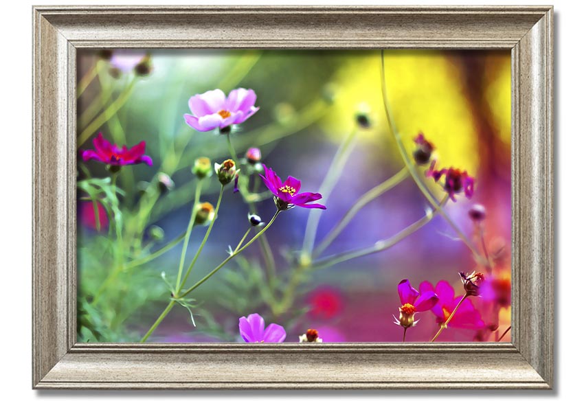 Framed print of Amazing Wild Flowers showcasing vibrant colors and delicate details, available in various frame colors.