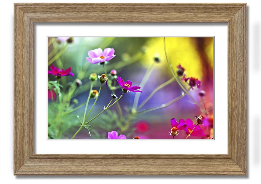 Framed print of Amazing Wild Flowers showcasing vibrant colors and delicate details, available in various frame colors.