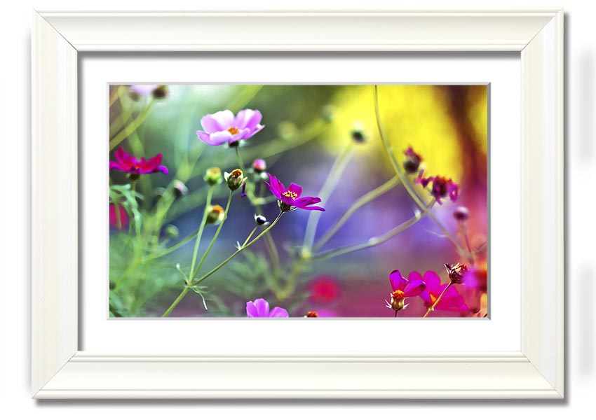 Framed print of Amazing Wild Flowers showcasing vibrant colors and delicate details, available in various frame colors.