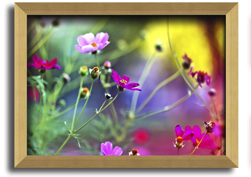 Framed print of Amazing Wild Flowers showcasing vibrant colors and delicate details, available in various frame colors.