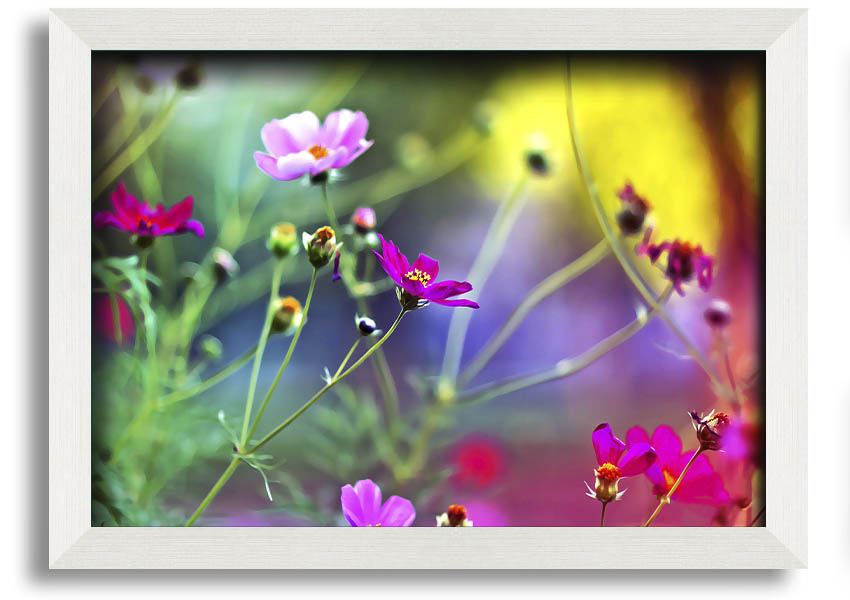 Framed print of Amazing Wild Flowers showcasing vibrant colors and delicate details, available in various frame colors.