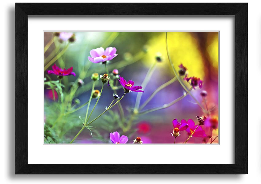 Framed print of Amazing Wild Flowers showcasing vibrant colors and delicate details, available in various frame colors.