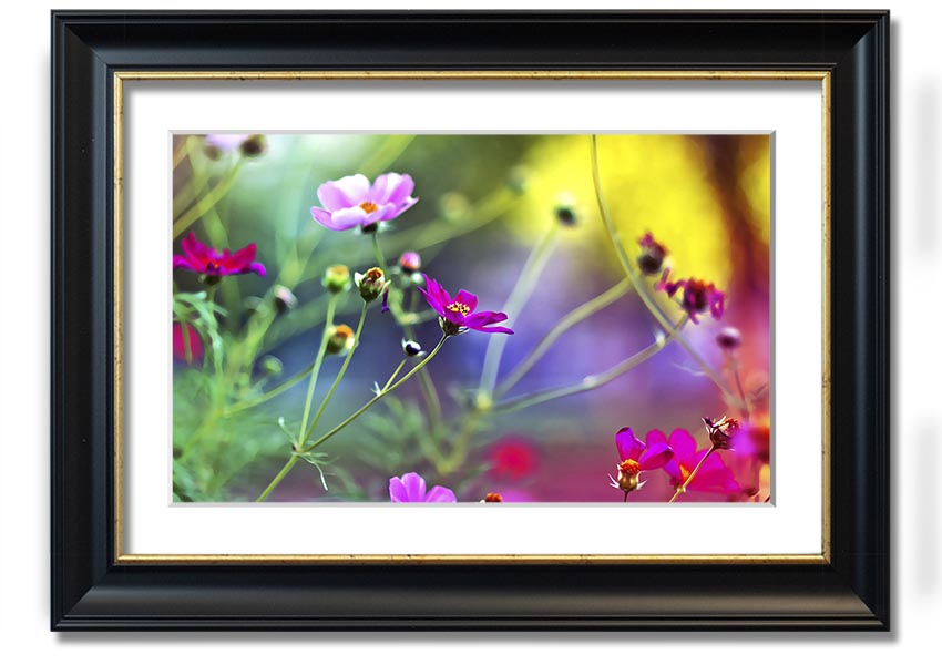 Framed print of Amazing Wild Flowers showcasing vibrant colors and delicate details, available in various frame colors.