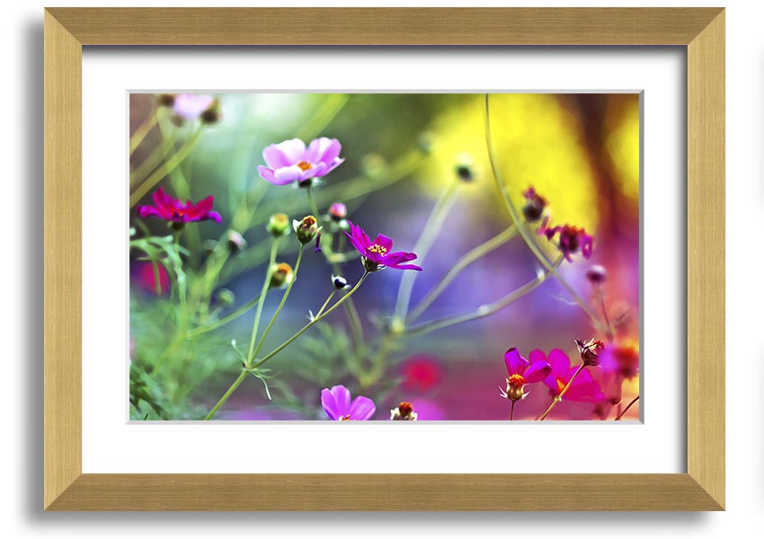 Framed print of Amazing Wild Flowers showcasing vibrant colors and delicate details, available in various frame colors.