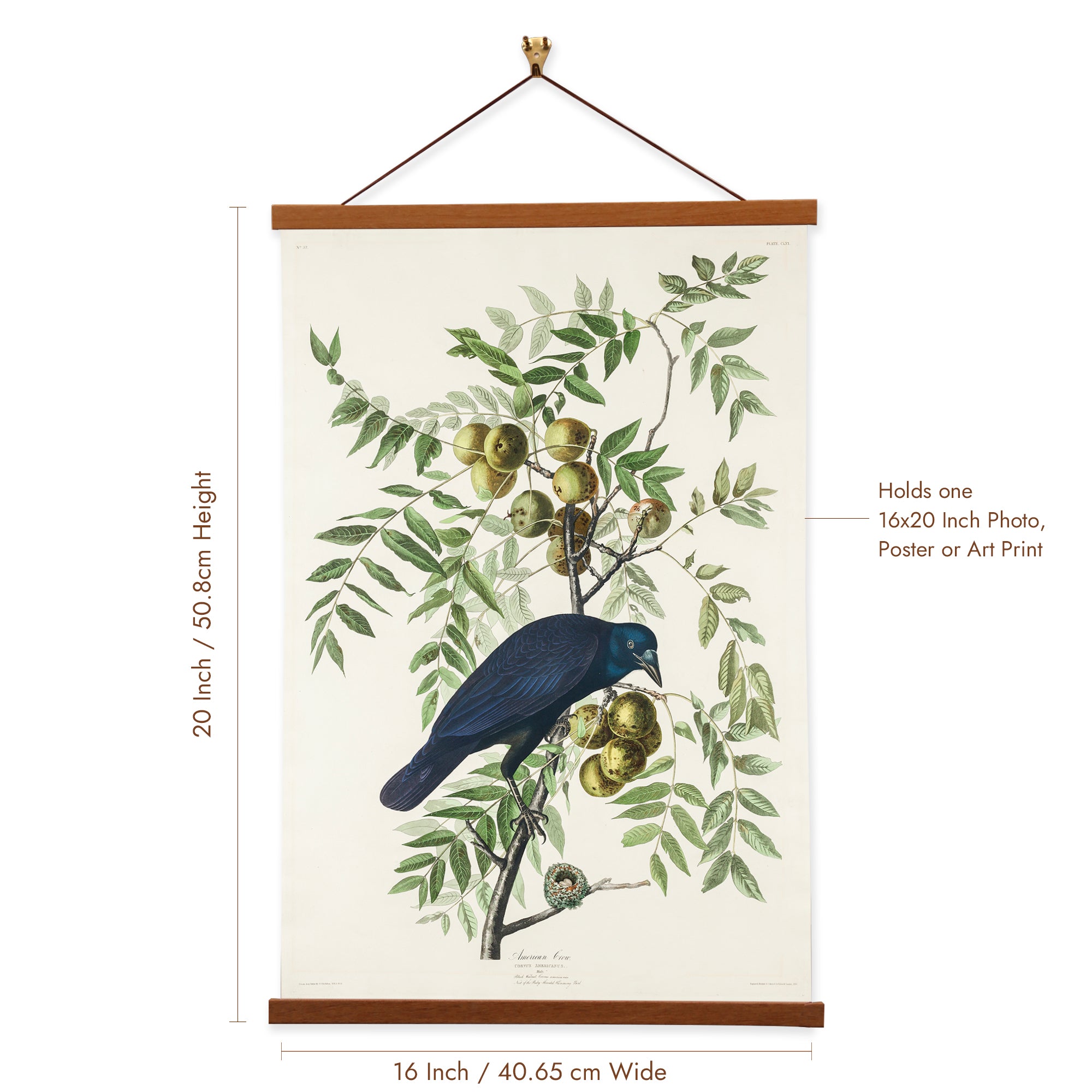 A detailed canvas print of the American Crow by John James Audubon, showcasing its glossy black plumage and sharp gaze, perched on a branch.